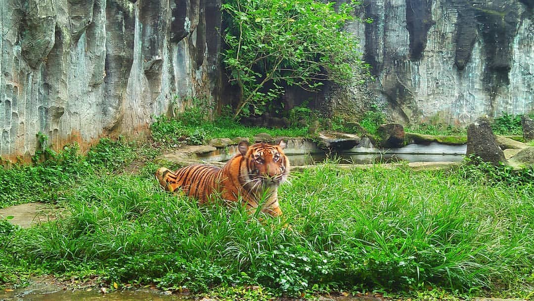 Taman Margasatwa dan Budaya Kinantan