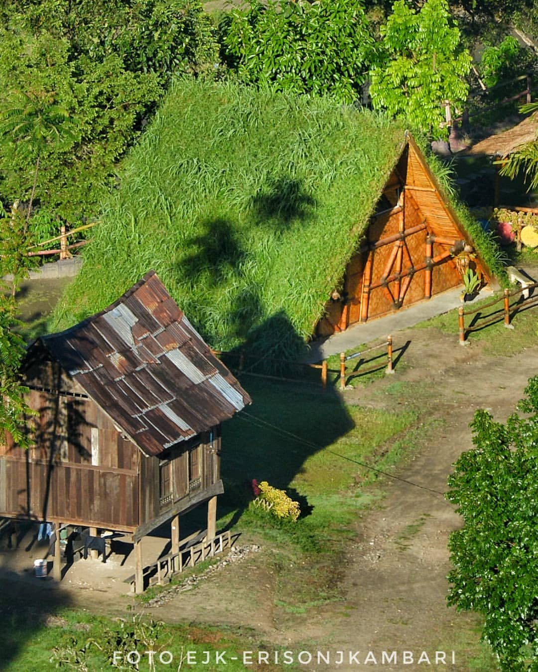 Rumah Pohon Inyiak